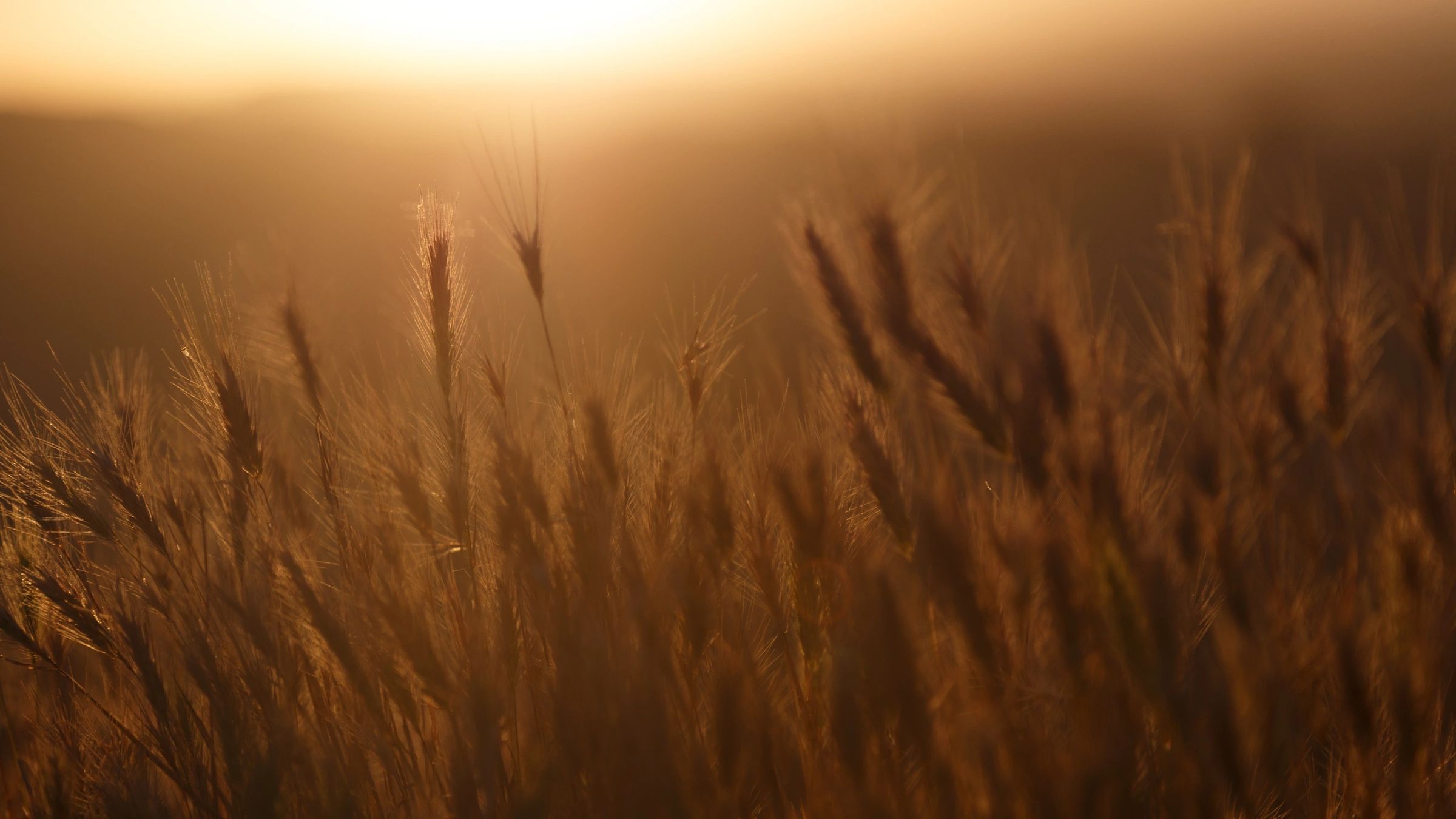 Farm Accounting: 10 points to consider